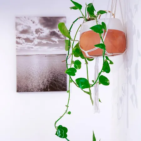 Mar-ria 3 דירה *